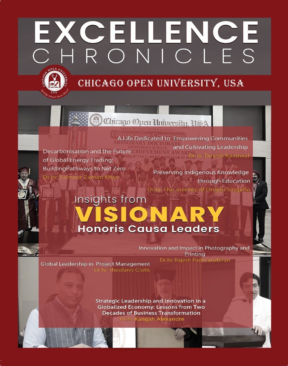 Excellence Chronicles — Insights from Visionary Honoris Causa Leaders (Volume 2)